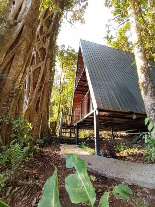 Casa Del Arbol Villa Monteverde Bagian luar foto