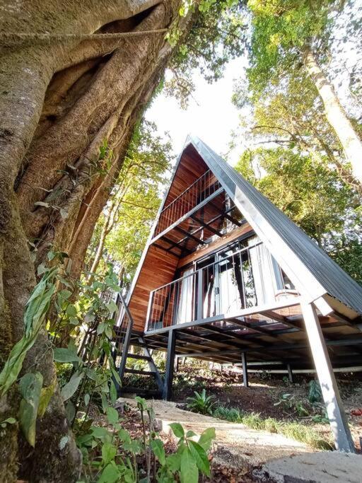 Casa Del Arbol Villa Monteverde Bagian luar foto
